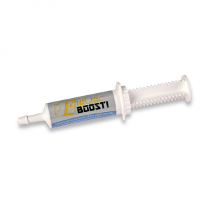 Equiotic BOOST! 60cc syringe | Bluegrass Animal Products